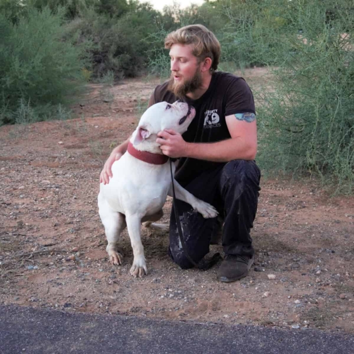 American Bulldog with handler