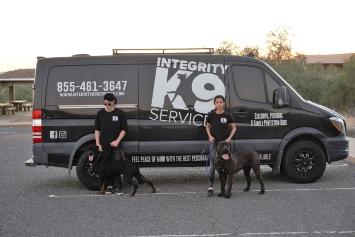 Two protection dogs with their handlers